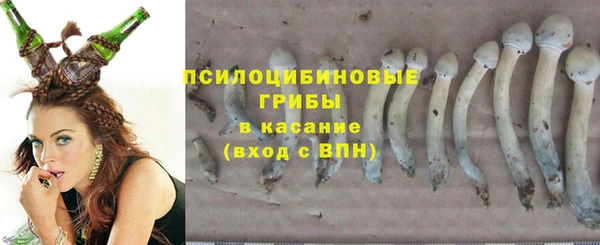 COCAINE Богданович
