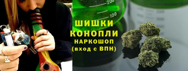 дживик Белокуриха